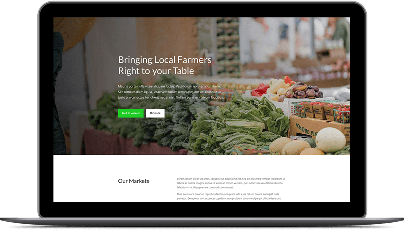 Non-Profit Website